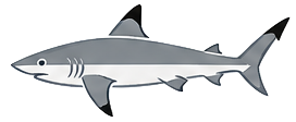 Shark